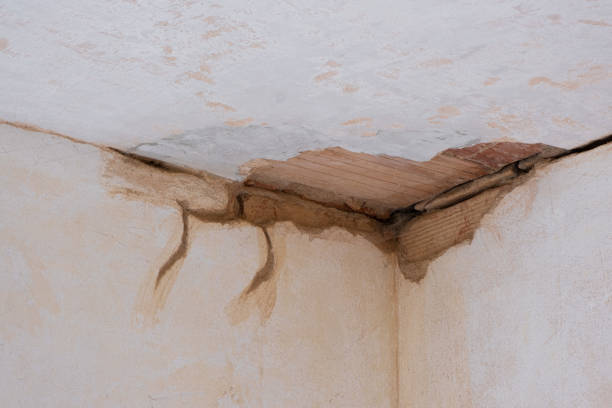 Best Water damage restoration near me  in Southern Gateway, VA