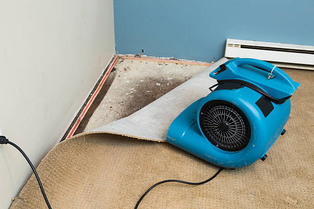 Best Professional water damage repair  in Southern Gateway, VA